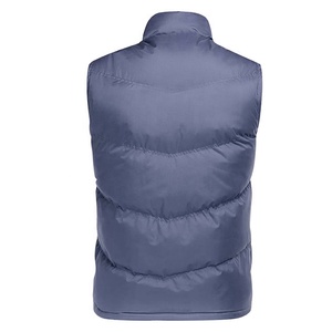 Chaqueta acolchada de algodón para hombre, chaqueta informal cálida y ligera con cuello levantado para invierno, venta al por mayor - Product Image 2