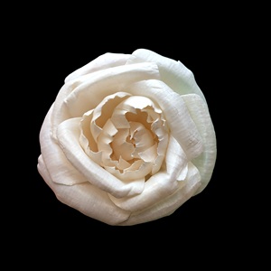 Fleurs en bois Sola VADEE faites à la main, durables, ROSE LALA, fleurs en bois Sola 8,5 CM, tige en fibre de plante Sesbania de Thaïlande - Product Image 3