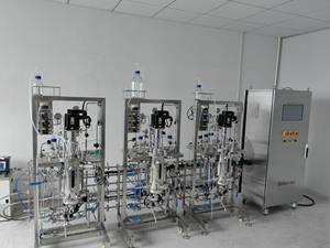 Biorreactor de Acero Inoxidable Pilot, Equipo de Fermentación Industrial Probiótico, Reactor de <span class=keywords><strong>Flujo</strong></span> Continuo, Bomba de Motor Automática, 15L - Product Image 4