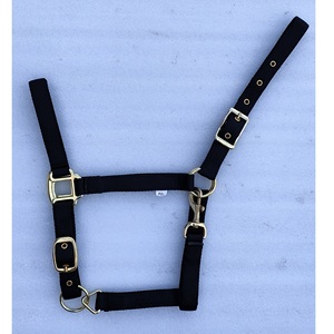 Best Wholesale Price for Durable PVC Horse Show <b>Halter</b> with Lead Chain Full Cob for Pony Size Options - Product Image 1