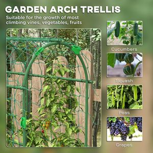 Arco in Metallo da 1,8 m con Rete Anti-UV per Piante Rampicanti (17x72x72) - Product Image 4