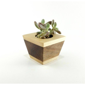 Jardinière carrée artisanale en bois de manguier, pot à fleurs moderne en bois massif pour la décoration intérieure et de bureau, finition naturelle. - Product Image 3