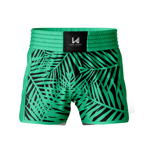 Shorts de sport Muay Thai MMA personnalisés imprimés par transfert thermique, norme internationale, 100% polyester, légers et respirants - Product Image 1