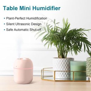 Portable Mini USB Cool <b>Mist</b> <b>Humidifier</b> 220ml Personal Desktop <b>Humidifier</b> for Bedroom Travel Office or Home-FST-EV-6 - Product Image 2