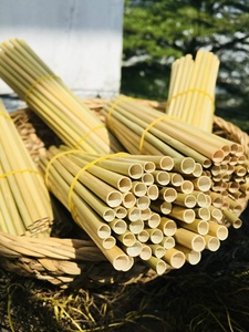 De la hierba natural a tu bebida diaria: descubre la opción sostenible de las pajitas de hierba vietnamitas - Product Image 3