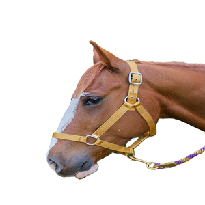 Harnais de cheval en sangle de nylon, harnais de course pour chevaux, confort élevé, qualité supérieure, double réglage en nylon - Product Image 1