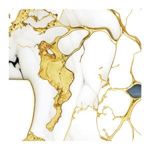 Azulejos de Cerámica Blanca India de 60x30cm, 60x60cm, 30x30cm, 20x120cm, Colecciones de Azulejos de Tamaño Mediano de la India - Product Image 1