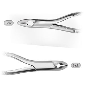 Pinzas de Extracción Dental Duraderas, Instrumento para Remover Dientes, para Dientes del Sabiduría, Molares, Uso Quirúrgico, Odontología, Ortodoncia - Product Image 3