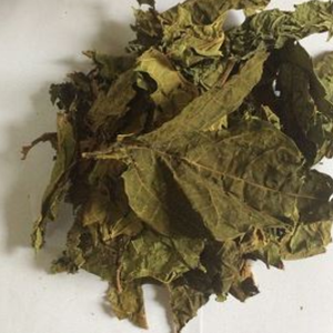 Feuilles de papaye séchées de qualité supérieure, 100% thé naturel pur coupé dans les fermes du Vietnam, papaye séchée pour une boisson apaisante à base de plantes - Product Image 3