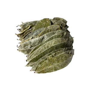 Proveedor de Hojas de Guanábana Secas 100% Puras a Granel para Té de Hierbas, Alta Calidad, Origen Vietnam, Etiqueta Privada Disponible, Empaque OEM - Product Image 4