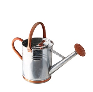 Regadera Decorativa de Cobre Antiguo Galvanizado para Jardín, Maceta de Agua Fácil de Rociar para Plantas de Interior y Exterior - Product Image 5