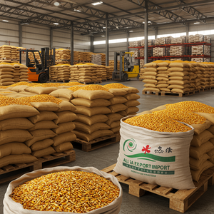 Maíz Amarillo Premium para Consumo Humano y Alimentación Animal, Venta al por Mayor, Exportación, Suministro a Granel, Grano de Maíz Natural de Alta Calidad - Product Image 5