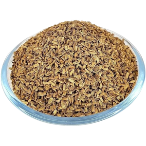 Polvo de Semillas de Zanahoria, Relación 10:1, Fabricante de la India - Product Image 1