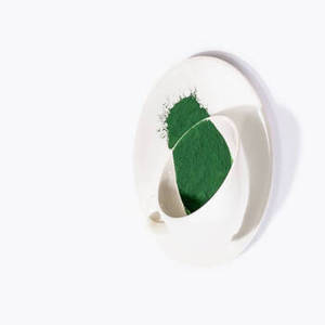 Espirulina Verde en Polvo Premium de la India para Suministro a Granel a Fabricantes de Superalimentos y Distribuidores de Ingredientes Nutricionales - Product Image 5