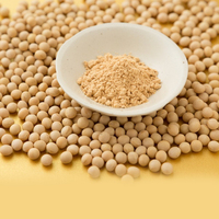 Soja OGM de qualité supérieure en gros pour la production de lait de soja, de tofu et d'aliments végétaux