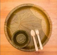 Assiettes en feuilles de Sal naturelles, vaisselle jetable écologique pour restaurants