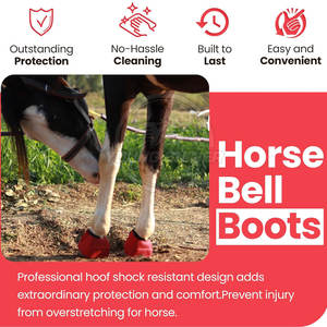 Botas de Cuero para Montar a Caballo de Alta Calidad, Nuevo Diseño, Venta al por Mayor, Ligeras, en Oferta - Product Image 3