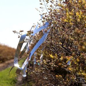 Holographic Bird Scare Reflective Tape Crack Ice Pattern Silver Anti-Bird Repellent Deterrent for Garden Farm Crop Protection - Product Image 4