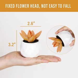 Macetas con Suculentas Artificiales Realistas Color Naranja, Pequeñas Plantas Artificiales para la Oficina en Casa o el Escritorio de Mujeres - Product Image 4