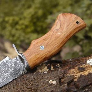 Couteau de chasse à lame fixe en acier Damas, personnalisé avec manche en bois d'olivier, pour survie en extérieur, camping et pêche - Product Image 2