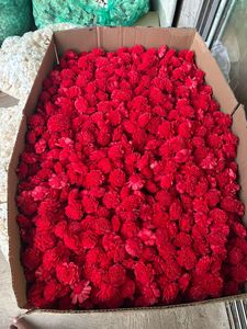 Fleurs en bois de Sola faites à la main, couleur rouge, en vrac, fleurs décoratives pour la décoration de mariage, arrangements floraux DIY - Product Image 2