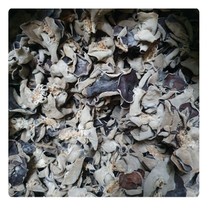 CHAMPIGNON NOIR SÉCHÉ DE CULTURE NATURELLE DE QUALITÉ SUPÉRIEURE À VENDRE DU VIETNAM - Product Image 5