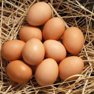 Huevos de Gallina Frescos de Granja, Marrones y Blancos / Huevos Frescos de Gallina Marrones y Blancos - Product Image 1