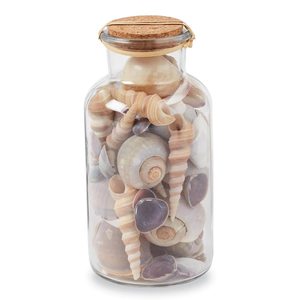 Decorative sea shell <b>sand</b> bottle <b>cheap</b> price mini seashells in bottles coastal decor handicrafts - Product Image 2