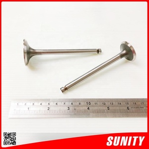TAIWAN SUNITY soupape d'aspiration TS130 de haute qualité OEM 104600-11100 - Product Image 2