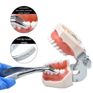 1 pièce Pince d'extraction dentaire pour enfants, outil chirurgical orthodontique pour dentiste, instruments et outils de forceps - Product Image 3