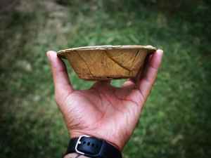 Ensemble de vaisselle jetable écologique en feuilles d'arec, 50 pièces, assiettes en feuilles de palmier biodégradables faites à la main pour la restauration et les événements - Product Image 4