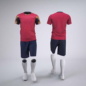 Football Teamwear Custom Color Design Street Soccer Outfit Professional Football Apparel Bulk Supplier Gym Training Sports Set L - Product Image 1