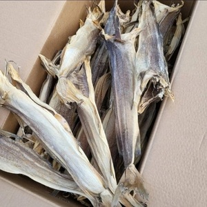 Morue séchée fraîchement emballée pour les magasins de détail, les distributeurs alimentaires et les besoins de la distribution commerciale de produits de la mer - Product Image 4