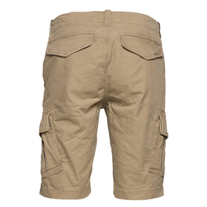 Shorts cargo légers pour hommes, taille haute, avec cordon de serrage, écologiques, pour la pêche et la randonnée, vente en gros - Product Image 4