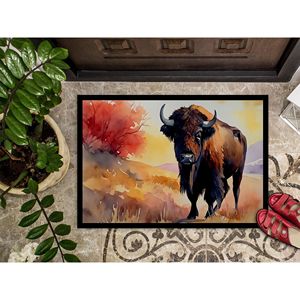 Bison พรมเช็ดเท้ากันลื่น24H x 36W เสื่อหน้าประตูในร่มกลางแจ้งต่ำซักได้สำหรับทางเข้า - Product Image 3