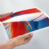 Etiquetas Adhesivas Transparentes de Vinilo Impermeable de PET PP para Impresoras de Inyección de Tinta, Rollo Jumbo para Impresora de Inyección de Tinta