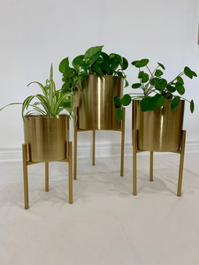 Soporte de Metal Dorado para Macetas, Moderno Soporte para Plantas de Interior, Acabado Dorado Decorativo, Exhibidor de Macetas para Sala de Estar, Dormitorio, Oficina - Product Image 1