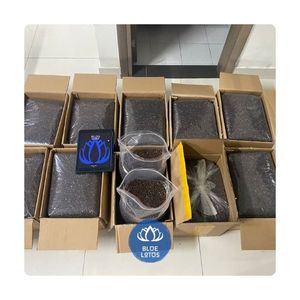 Graines de papaye de qualité supérieure, agriculture, prix de gros abordable, poivre séché naturel, herbes aromatiques, approvisionnement en vrac premium direct usine - Product Image 1