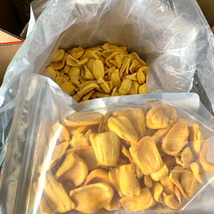 Wholesale Dried Jackfruit for Food Service and Snack Brands - Product Image 1