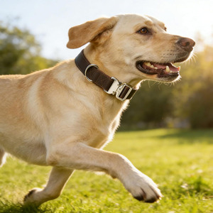 Collares para perros hechos a mano en Pakistán, de cuero trenzado, accesorio ideal para perros activos y actividades al aire libre a bajo precio. - Product Image 1