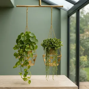 Panier suspendu en métal doré avec motif de feuilles décoratives et suspension à chaîne, porte-pot de fleurs rond en fil métallique pour l'intérieur - Product Image 6