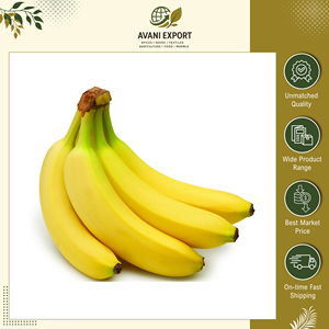 Mejor Precio de Mercado, Gran Oferta en Plátanos Frescos de Primera Calidad, Sabor Dulce, Naturales y Orgánicos, de un Fabricante Indio - Product Image 3