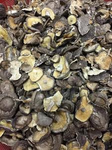 Champignons séchés du Vietnam, shiitake en vrac, sans tige, 20% de protéines, séchés naturellement à l'air, 1 kg/sac sous vide, prix d'usine avantageux - Product Image 2