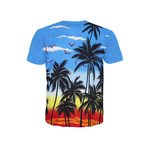 Camiseta Ligera de Poliéster, Transpirable, de Secado Rápido, con Impresión por Sublimación, Logotipo Personalizado, Fabricante OEM - Product Image 2