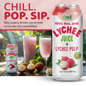 Jugo de Lichi con Pulpa, Lata de 490 ml, 12 Latas por Caja, 100% Puro, 18 Meses de Caducidad, Proveedor Mayorista para Importadores - Product Image 2