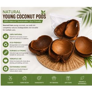 AQUA VRIKSHA Cáscaras de Coco Joven Secas Naturales para Plantas Acuáticas, Peceras de Camarones, Peces Betta y Acuascaping - Product Image 1
