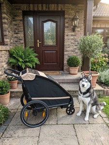 Poussette/remorque/voiturette 3 en 1 pour animaux de compagnie, pliable, légère, imperméable, remorque pour vélo pour chien - Beige - Product Image 4