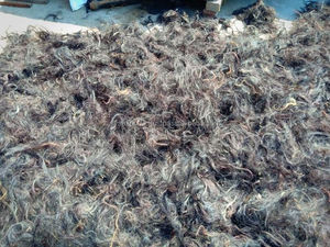 Luxe Stallion Strands by M R S EXPORTS High Quality Buffalo Horse Tail Hairs Excellent Value <b>Sewing</b> Technique Natural Crafts - Product Image 2