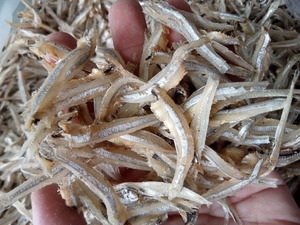 Anchoas Secas al por Mayor, Pescado Seco, Fabricante de Pescado Seco, Limpio y Clasificado, Pescado Seco a Granel - Product Image 2