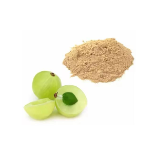 100% Pure High Quality Organic Amla Powder Direct Indian Manufacturers Spray <b>Dried</b> Fruit Extract Pure Organic Amla Powder India - Product Image 2
